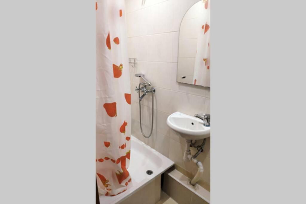 Small Apartment For 2 キエフ エクステリア 写真